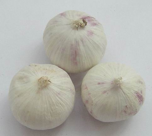 organic dehydrated garlic