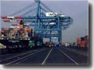FREIGHT FORWARDER & SHIPPING AGENCY