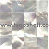 white lip MOP shell tile(seamless-jiont)