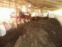 Vermicompost, Organic Fertilizer
