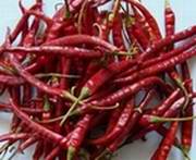 Dried red Yunnan chilli with stem
