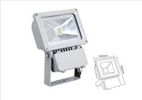 High Power LED Floodlight(TL-TGD-105)