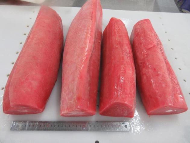 Yellowfin Tuna