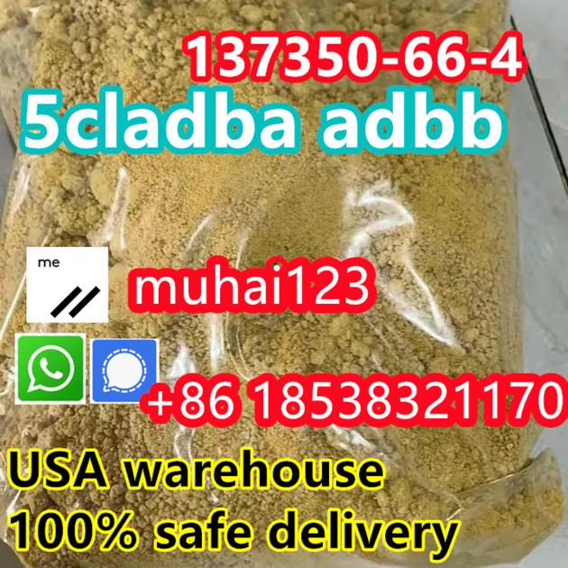 CAS 2023788 19 2 China Supplier