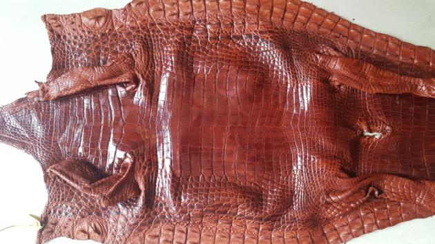 Siamensis Leather