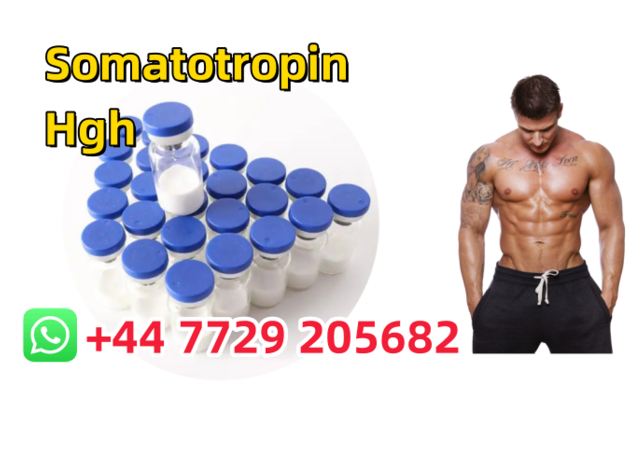 Retatrutide Tirzepatide weight loss peptides