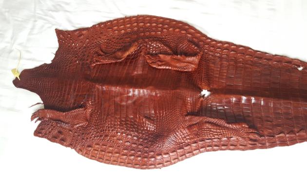 Siamensis Leather