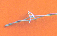 barbed wire