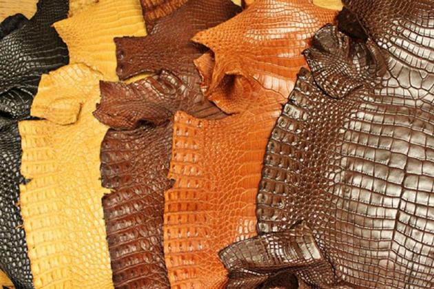 Siamensis Leather