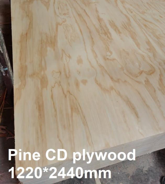 Pine Plywood From Vietnam