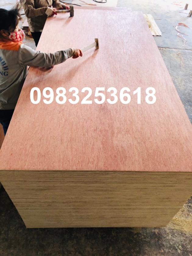 Bintangor Plywood From Vietnam