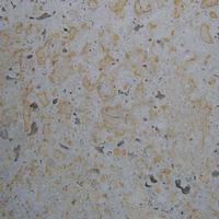 marble/yellow dragon