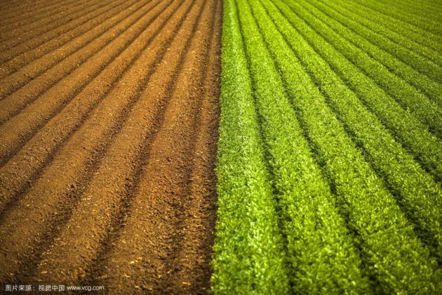 Agricultural fertilizer use Zinc Sulphate Monohydrate