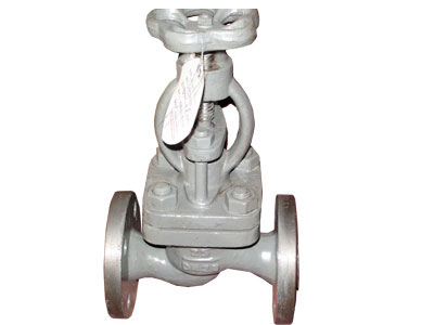 marine globe valve