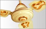 Ceiling Fan
