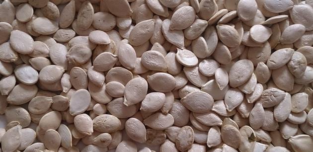 Pumpkin seeds