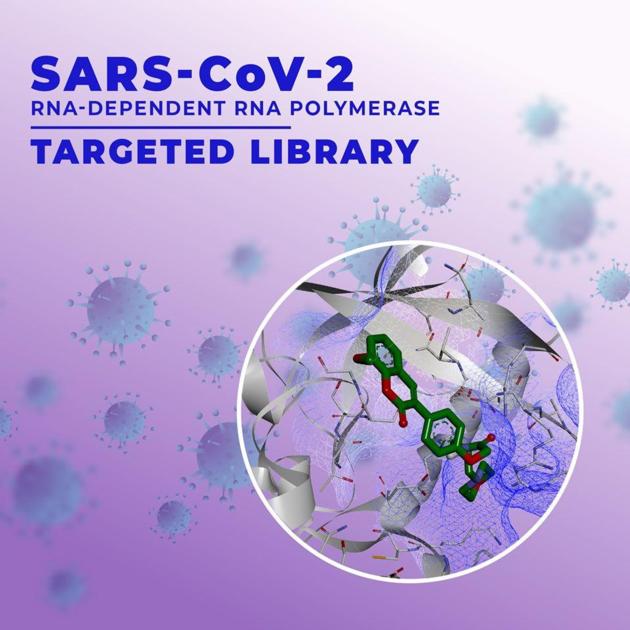 SARS CoV 2 RNA Dependent RNA