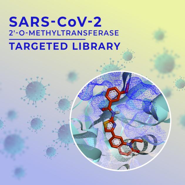 SARS-CoV-2 NSP16 Targeted Library