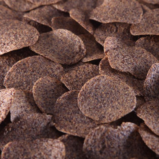 Organic Linseed Chips Futurechips