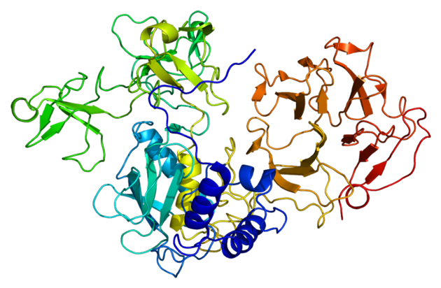 Matrix metalloproteinase-2 Targeted Library 