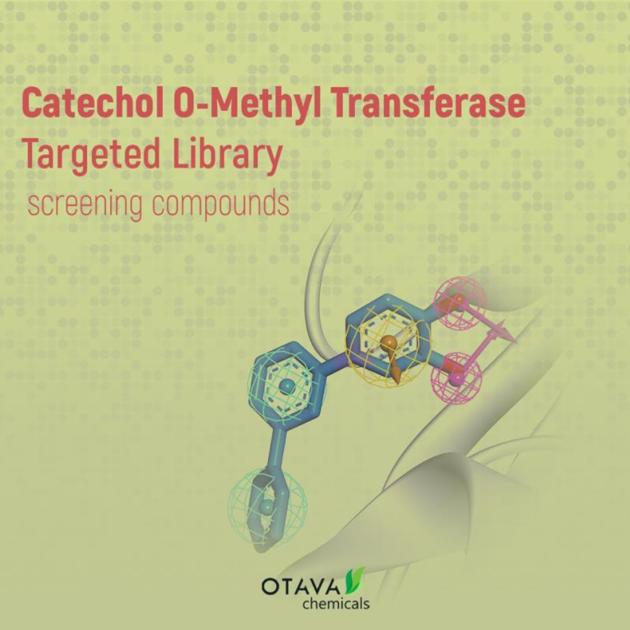 Catechol O‑Methyl Transferase Targeted Library