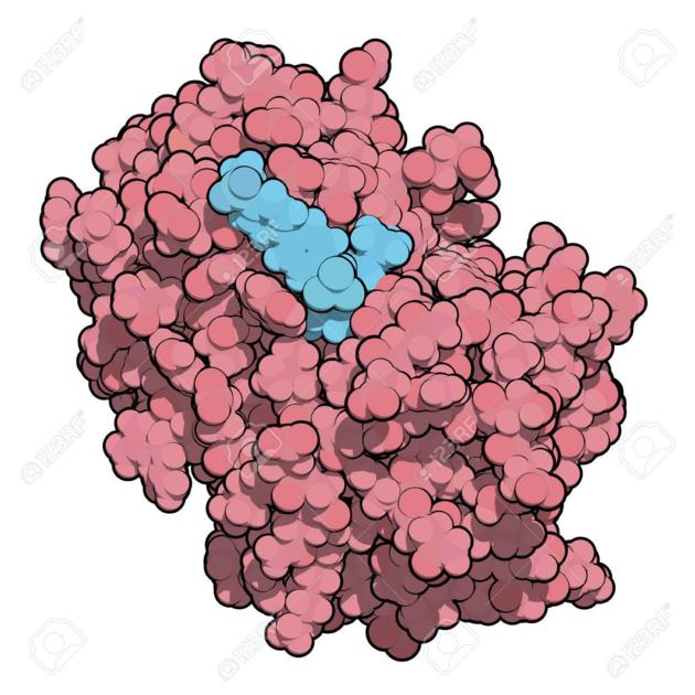 Cathepsin K Targeted Library