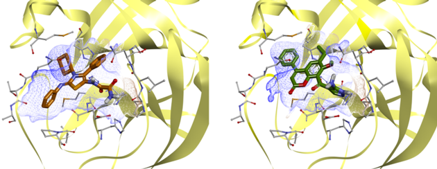 SARS-CoV-2 Main Protease Targeted Library