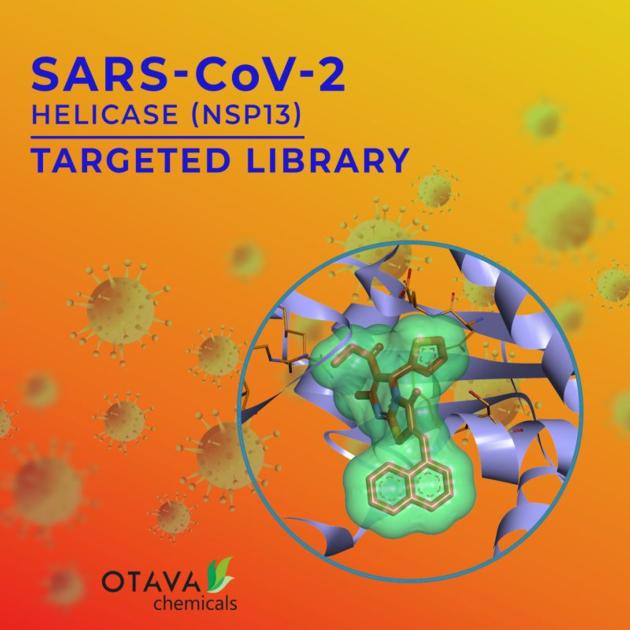 SARS-CoV-2 Helicase Targeted Library