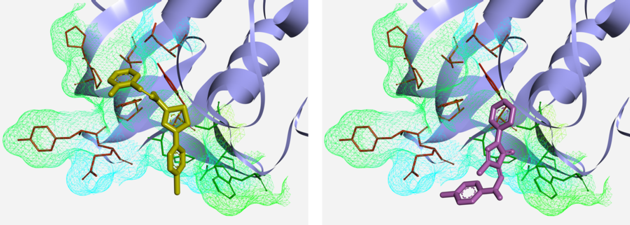 SARS-CoV-2 Papain-like Protease Targeted Library