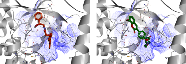 SARS-CoV-2 RNA-dependent RNA Polymerase Targeted Library