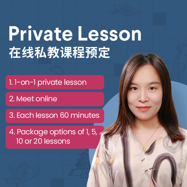 60 minutes 1:1 online PRIVATE Chinese lesson