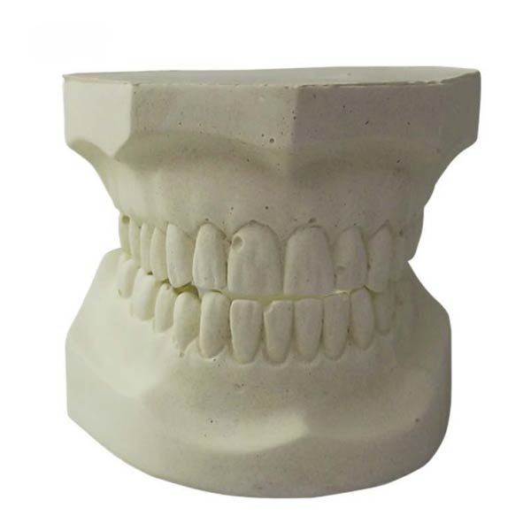 Stamotology Teaching System
