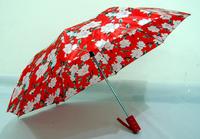 2 SEC Umbrella 322
