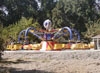 amusement rides/amusement park/amusement equipment: ARTA021
