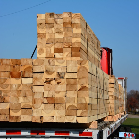 Best Quality Pine TIMBER/LUMBER/WOOD/Sawn (Square-Edged) Oak/Red SpruceTimber