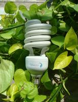 energy saving lamp