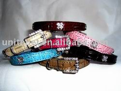 pet collars