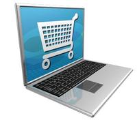 E-commerce / Portal Development