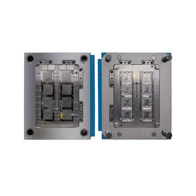 Plastic Switch Mould