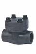 Forged Steel Piston Check Valve