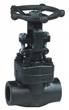 Forged Steel Gate Valve