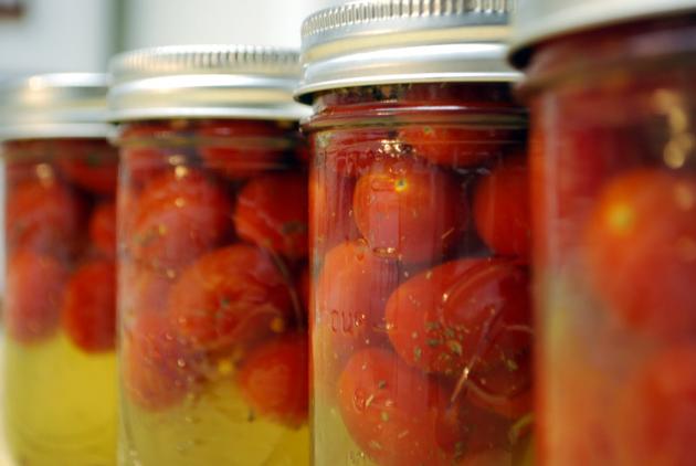 Picked Tomatoes