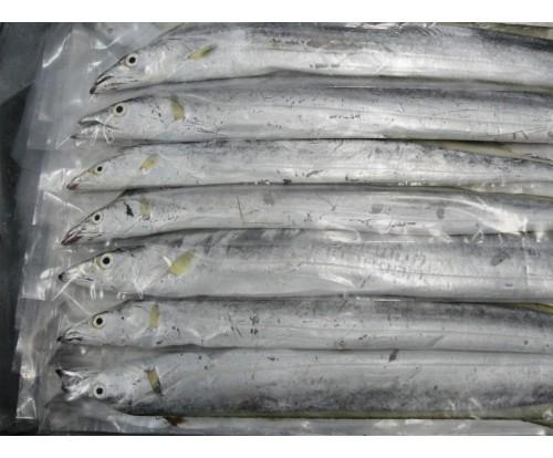 FROZEN RIBBON FISH