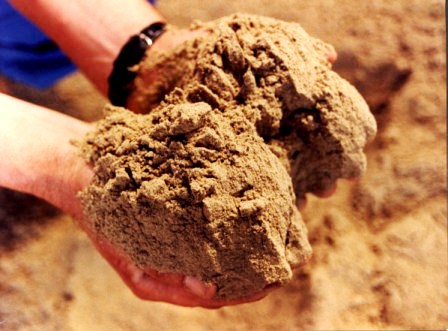 Fish meal suppliers