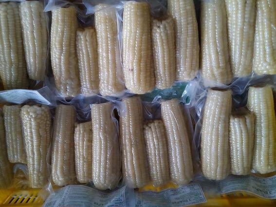 Frozen Boiled Corn