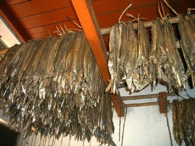 DRIED RIBBON FISH