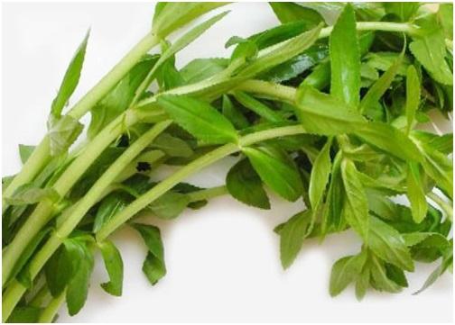 Dried Rice Paddy Herb
