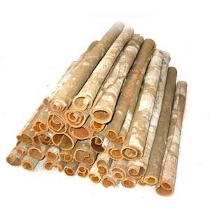 Tube Cinnamon