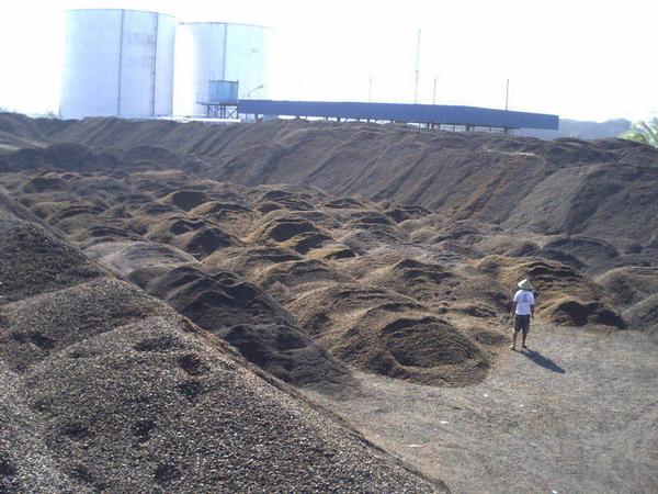 Palm Kernel Shell