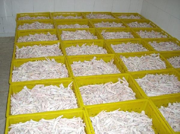 halal certified frozen chicken feet for sale Good Price